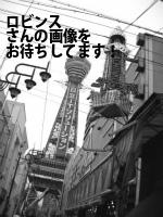 鹿児島市の（株）ロビンス